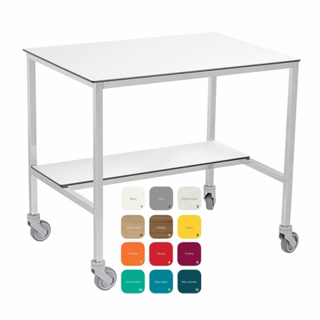 Table de conditionnement Tourinox 2 plateaux résine